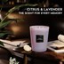 Picture of Citrus & Lavender - Large Jar Candle | SELECTION SERIES 1316 Model